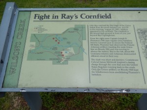 image3 (1) 